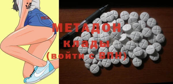 индика Дмитров