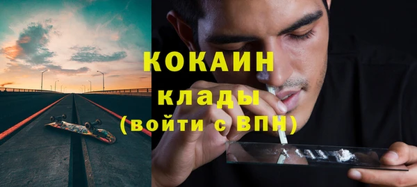 индика Дмитров