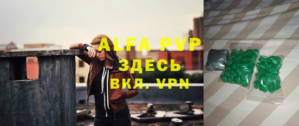 индика Дмитров