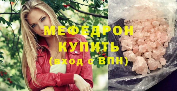 индика Дмитров