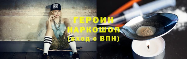 индика Дмитров