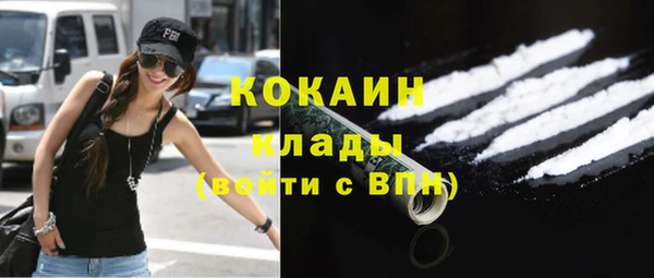 индика Дмитров