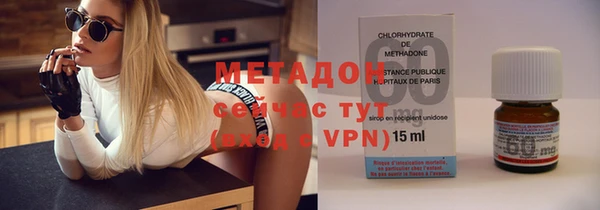 индика Дмитров