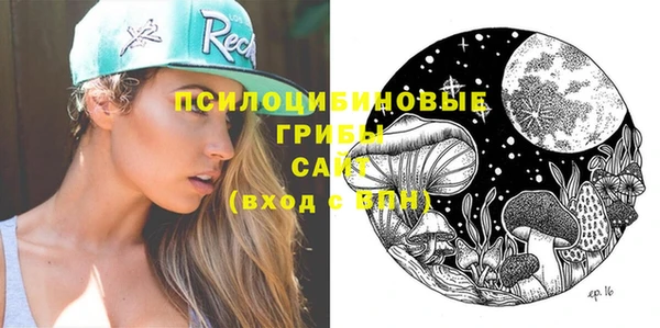 кокс Дмитровск