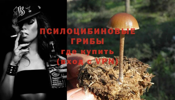 индика Дмитров