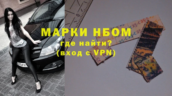 индика Дмитров