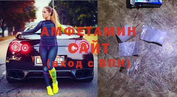 индика Дмитров