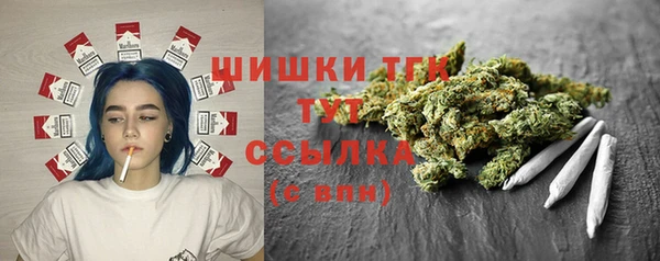 индика Дмитров