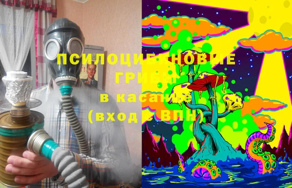 индика Дмитров