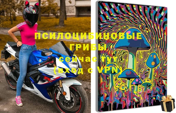 индика Дмитров