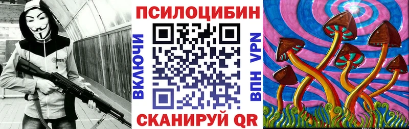 МЕГА   Калачинск  Галлюциногенные грибы Psilocybine cubensis 